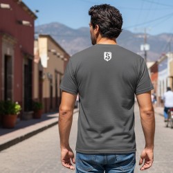 Playera Adolf Galland - Messerschmitt Bf 109E-4/N - As de la Luftwaffe